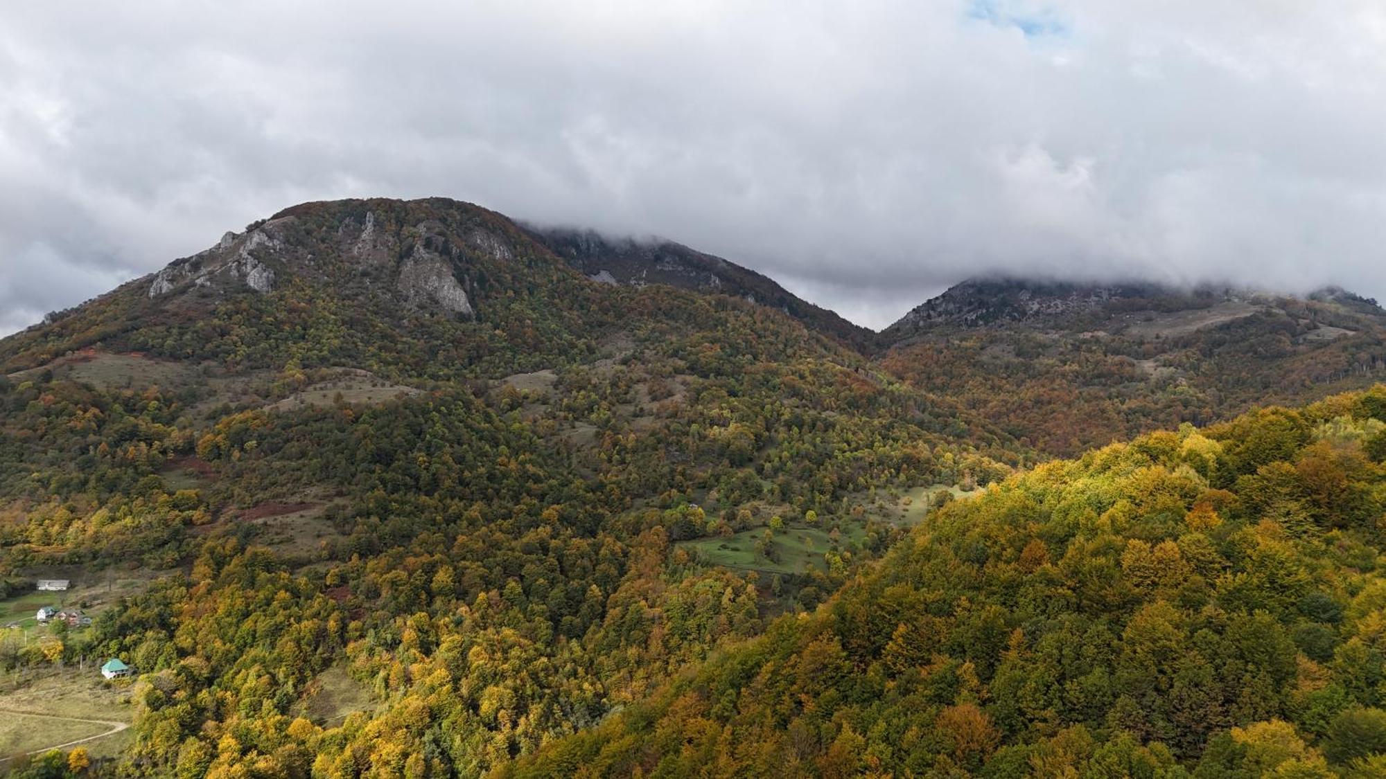 Fern Farm Eco Resort Mojkovac Buitenkant foto