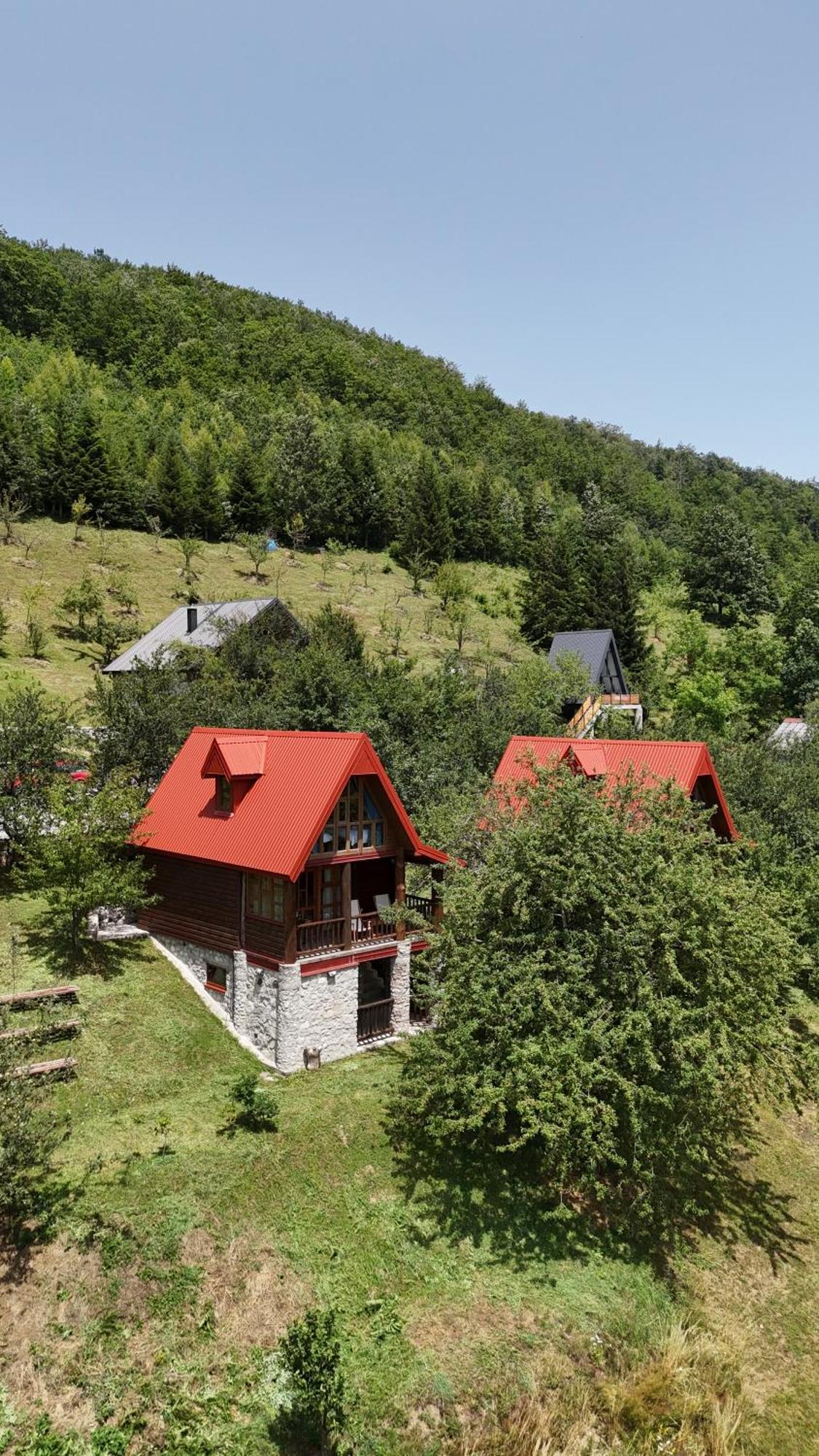 Fern Farm Eco Resort Mojkovac Buitenkant foto